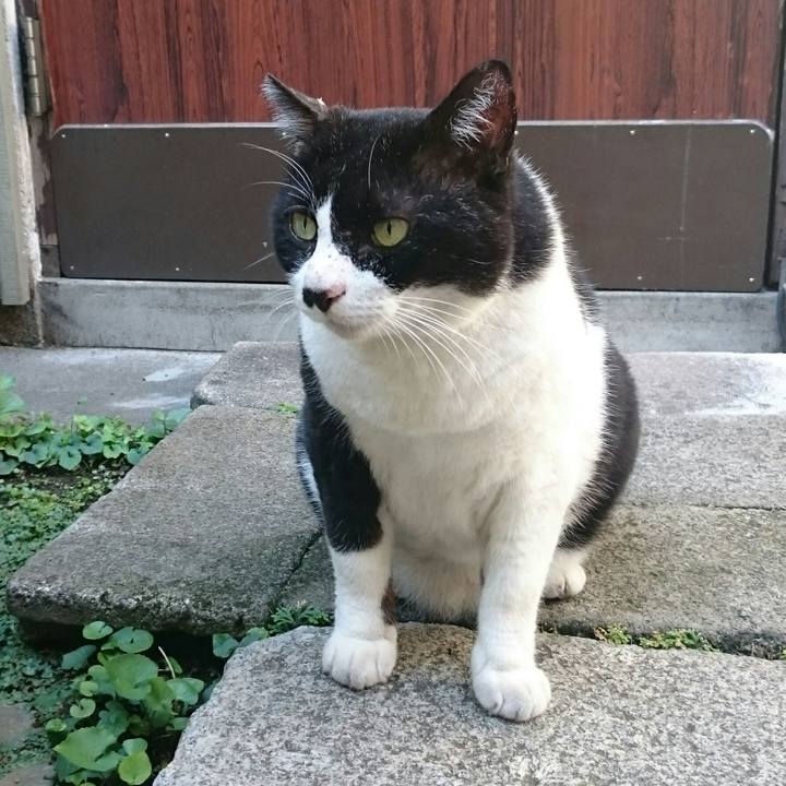 734a31c3 1035 44e7 9230 dd347e622848