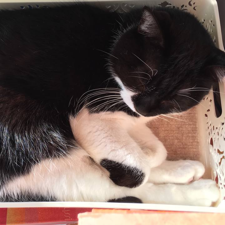 734abb4a 5df5 4f6a 83a2 c45bc2f3ea37