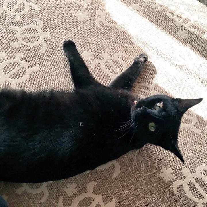 734b1e38 7849 43e8 adbd 6a6c070c095a