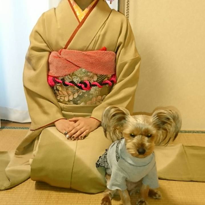 734bfe11 d475 4139 a659 470487946895