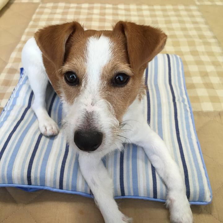 734c0303 271a 45e8 bc0b b471575d6b8d