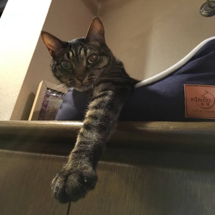 734c8510 40fe 4a32 81d1 2ea84127fa34