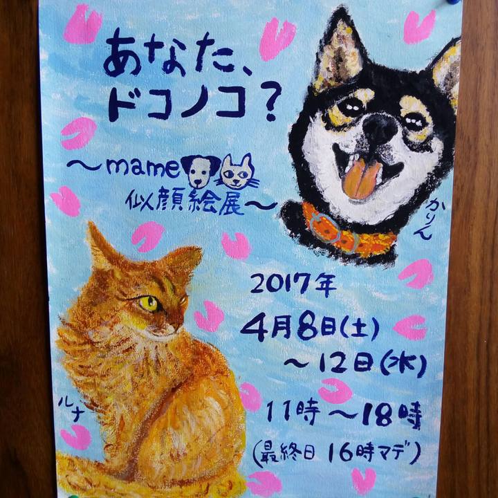 734cb246 1dd8 4dd1 954f 7e85e52c6dfb