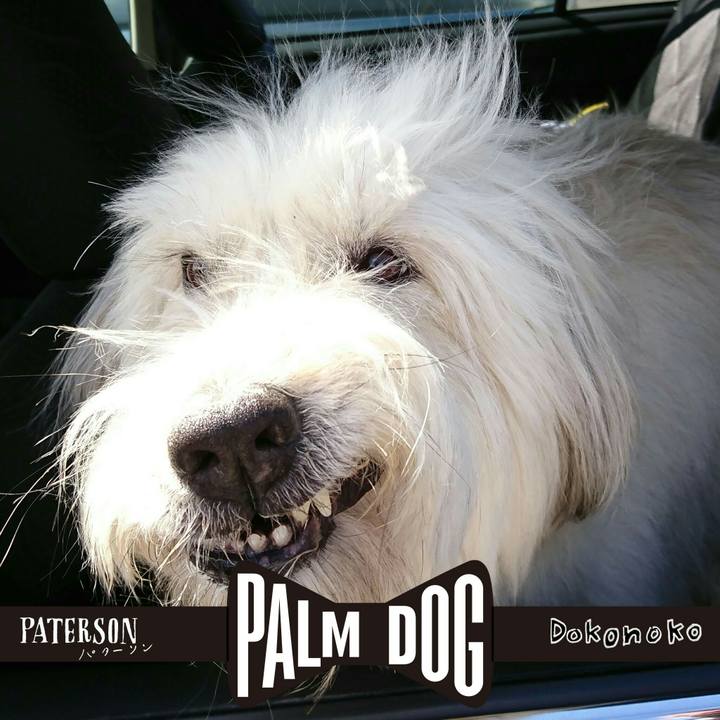 734d54c8 f082 4f34 8ee2 00a9943061a3