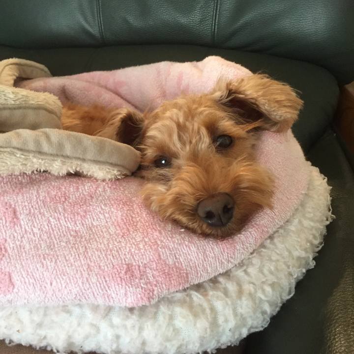 734d8dd1 3e6c 40b0 9c54 0ecd5bf5ef74