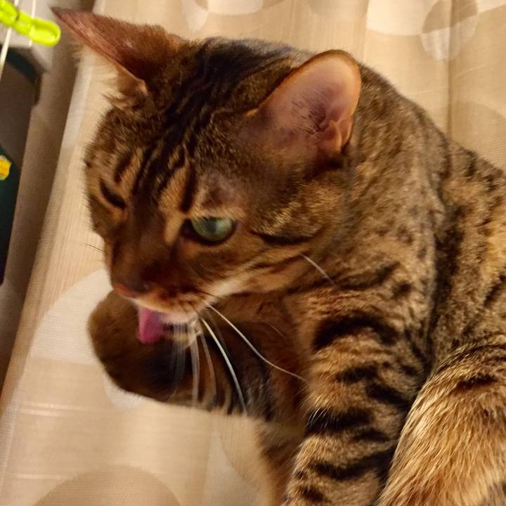 734dced0 9b1c 4677 86c2 63994b07f81d