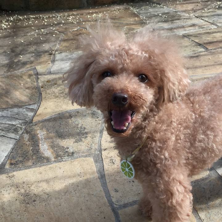 734e07c5 dd7e 404b 906a 523bb68a1c15