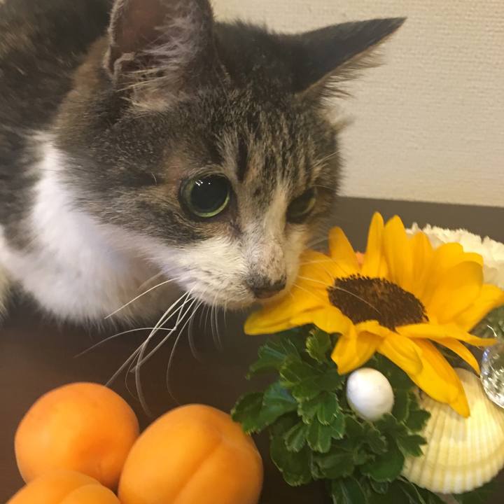 734e10b9 fdf1 4e63 99e1 ad3ba2a6751f