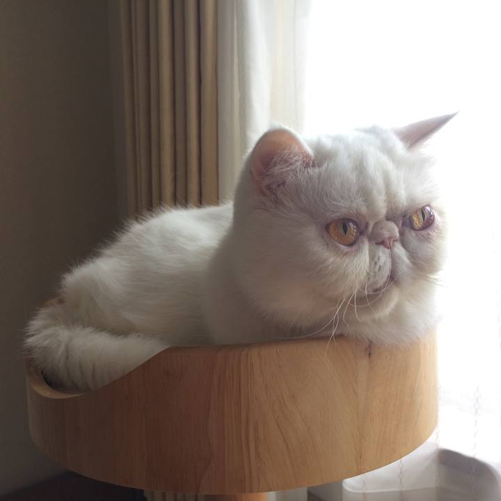 734fb6d9 04a2 45e9 9d8c 71d362872ce5