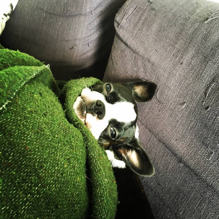 73500111 0492 455a 9155 d7a79f18693b