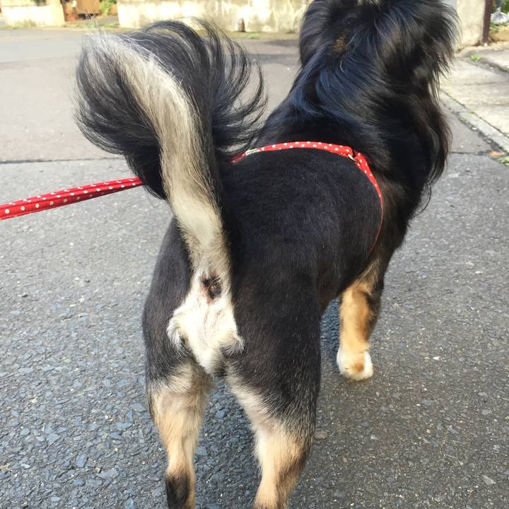 73502e65 1765 45e1 b61a 441170d76337