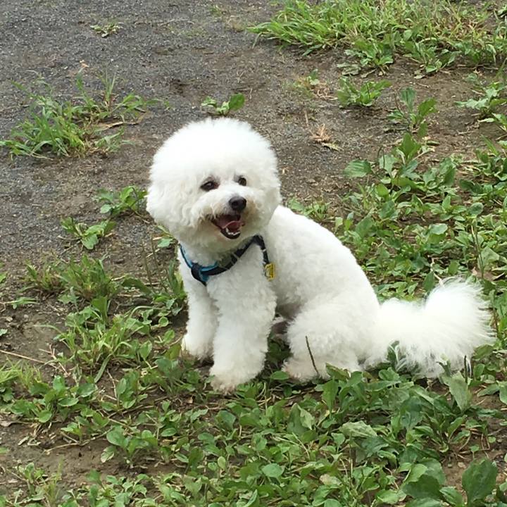 73509862 f69b 47ba 9591 4cc1d59bc0d0