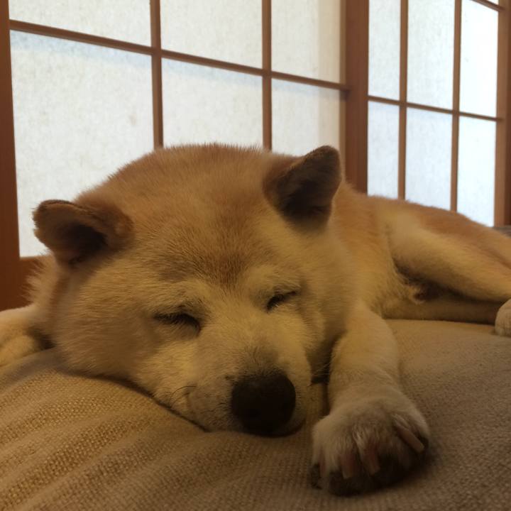 73509bbd b0dc 40c0 a6f0 cde8db2cf21f