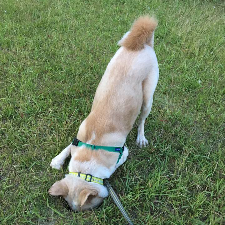 7350b603 cddd 4764 8aa6 91598623ea6c