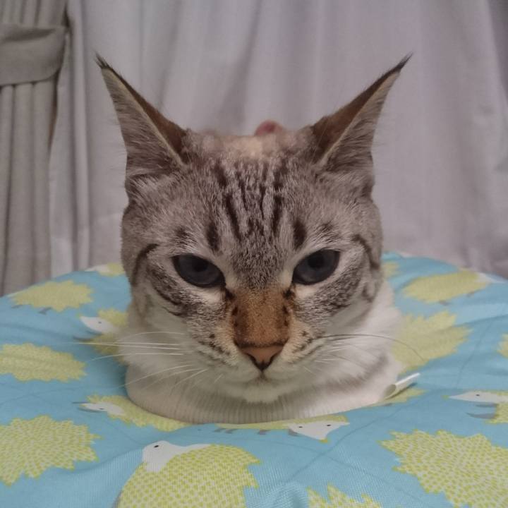 7350ff05 58ae 468e 9b99 877c5979fce2