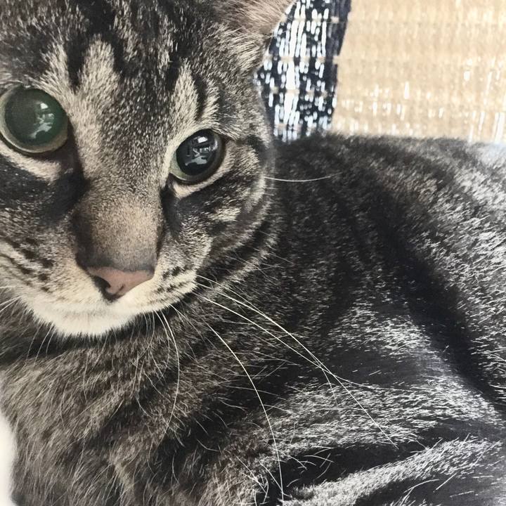 73511fb6 d3f1 4a81 a6c2 11358e105d07