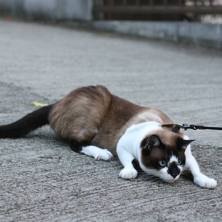 73514f56 b7ae 48b9 8ba1 ea8c7634b423