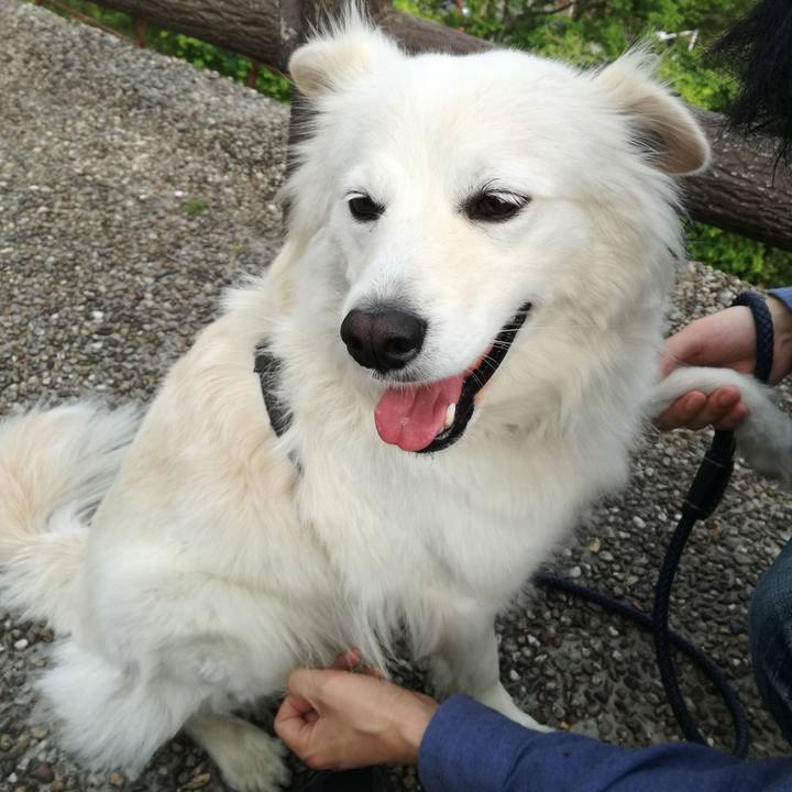 73523b89 d9a4 4af9 9f65 52cfdb9ff3ce