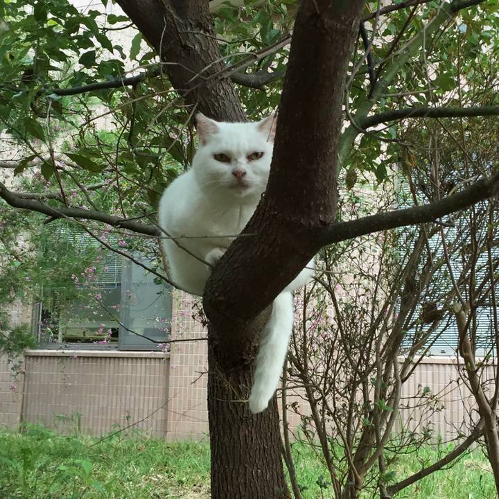 73529f95 8e26 4a97 a9a0 7aca0b05e9a5