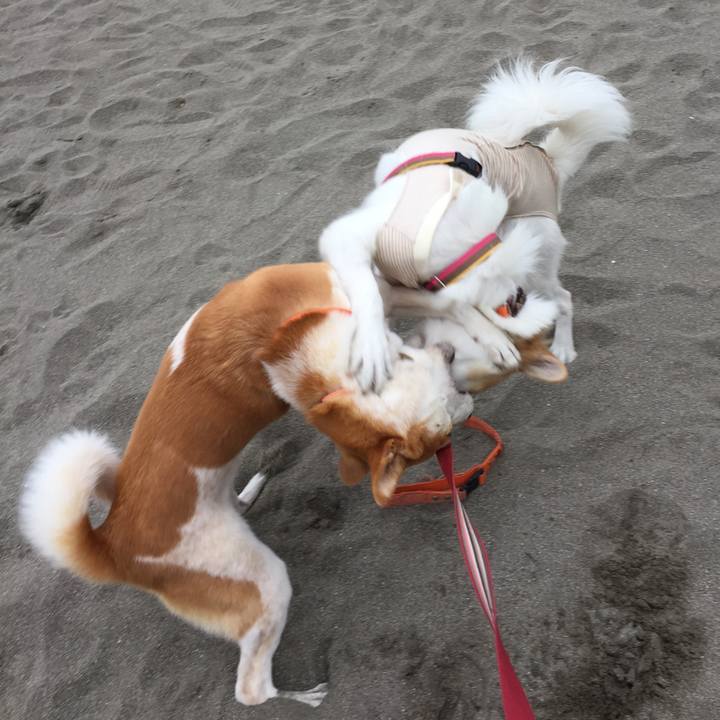 7352e2e3 e477 4401 b5e2 5fde6f568027