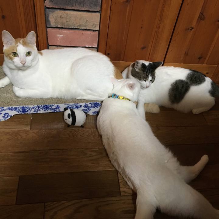 7352ed10 96d5 4621 a8bc 34ac7d868b49