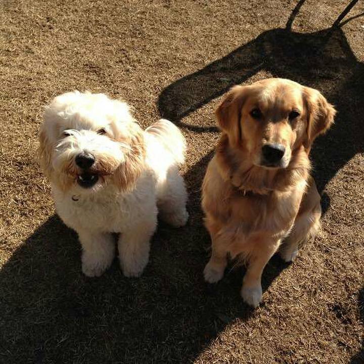 735391fe a043 43ad b45a 6b738b977217