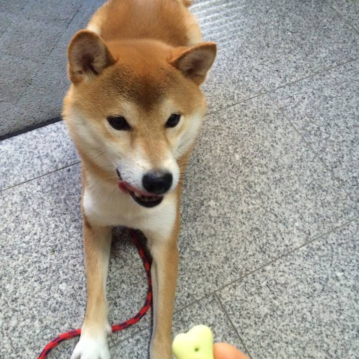 73545efe d39a 4772 82ce f8f2383e53af