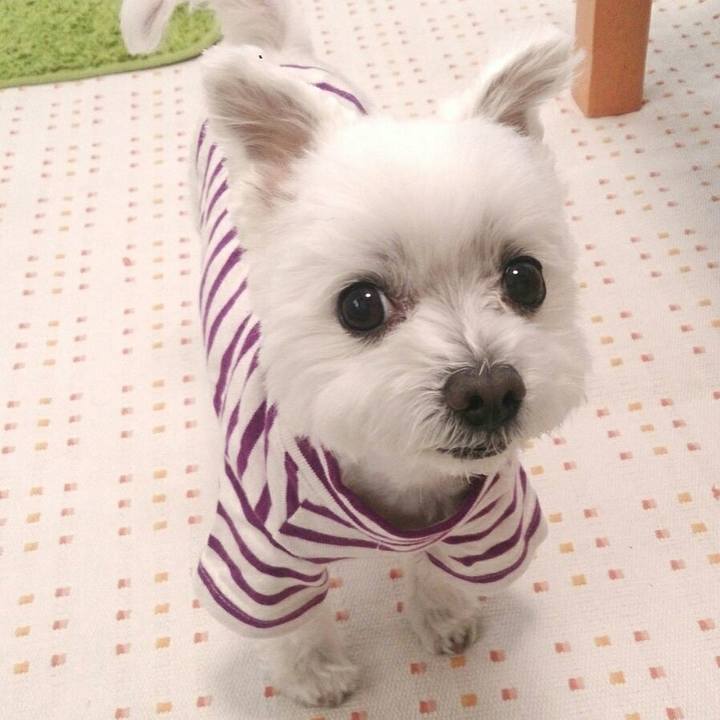 7354ad93 e01b 4bd6 bba1 0773d448ef1f