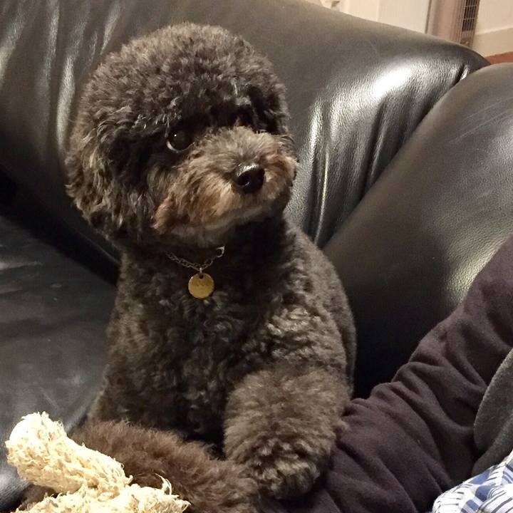 7354f5f6 f546 4e80 a626 0599ca92f590