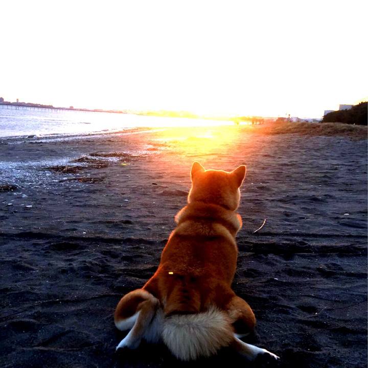 7355252e 1ed2 4a40 9b24 740286f6394d