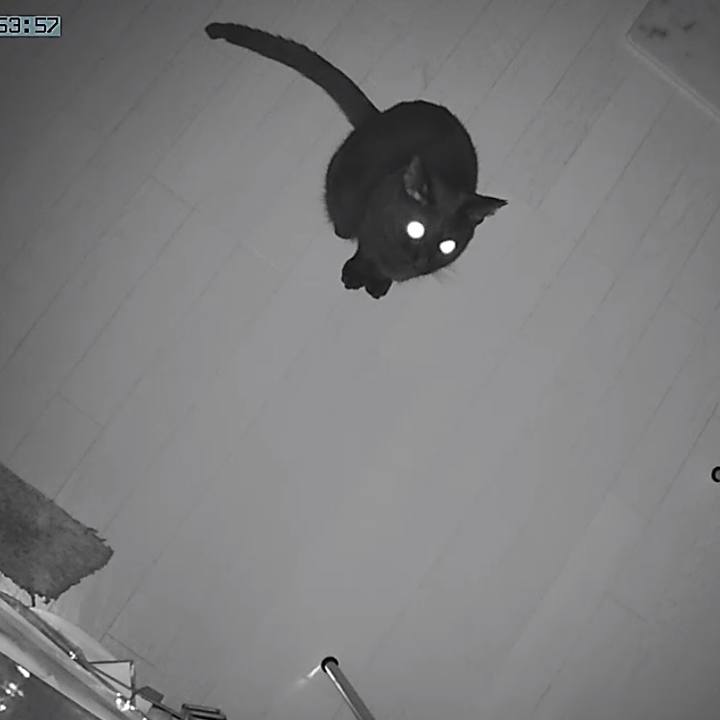 7355dd35 54a9 4c00 b9ce 27137c272224