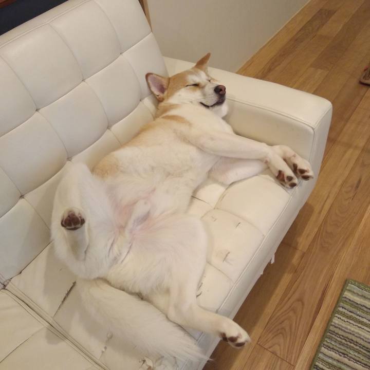 7355e517 0126 4a7f b2b5 8286c2438135