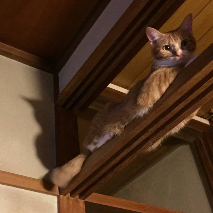 7355f3a1 4011 4788 907f ded2f92ea2de