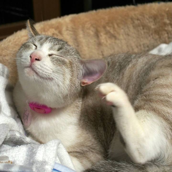 73570e34 e54a 4fa2 bb2d 802d39e5d042