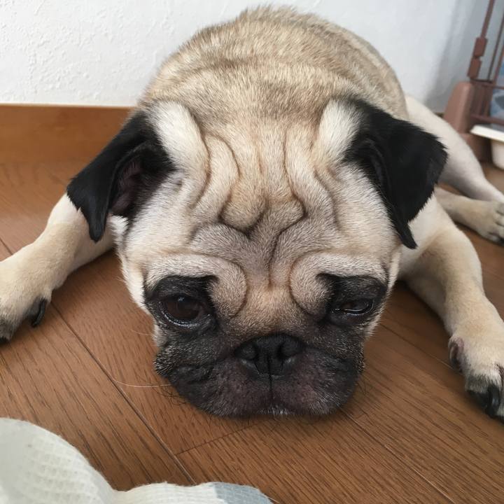 73571def 9aec 43bf 9241 7ae29e2108fc