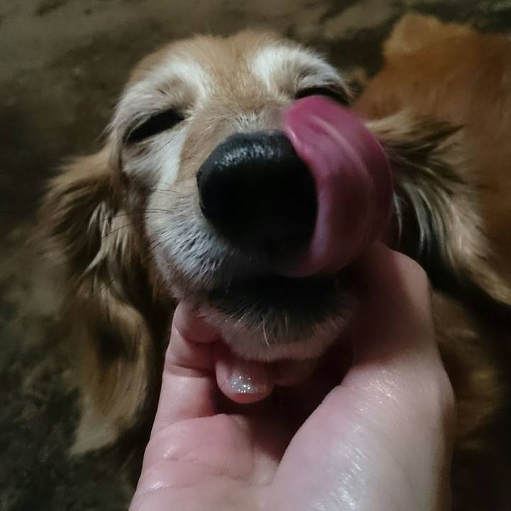 73573c62 1c9d 4372 9807 e7a295a20d21