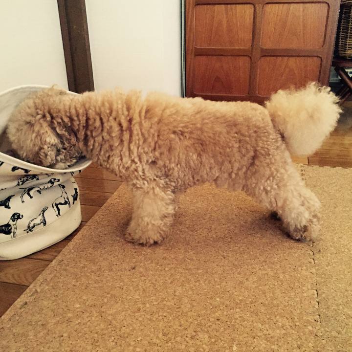 73581ed7 2d20 41ba b55f ea2daa369804