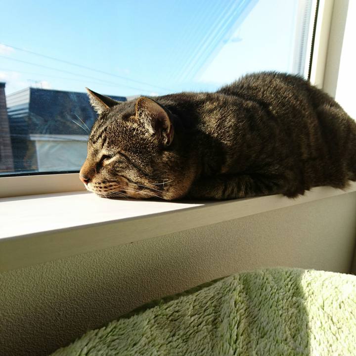 73583fa0 a699 46b9 94c7 68ba8f832c06