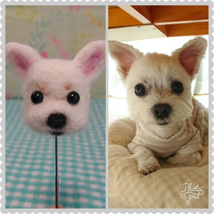 7358588b 6844 48ae 869a 4808f23f1a92