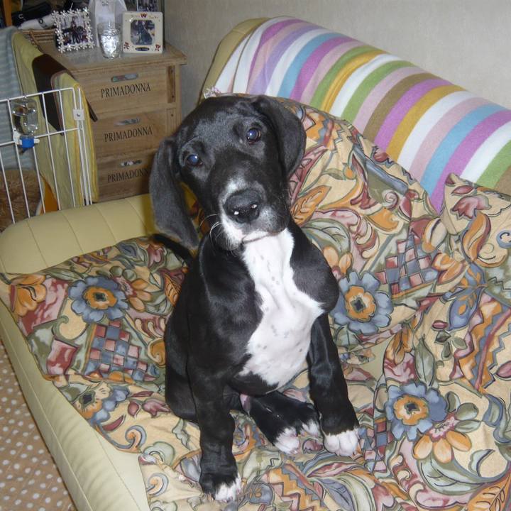 73587cc1 aa91 46d2 8a0f 78bf4b676fa5