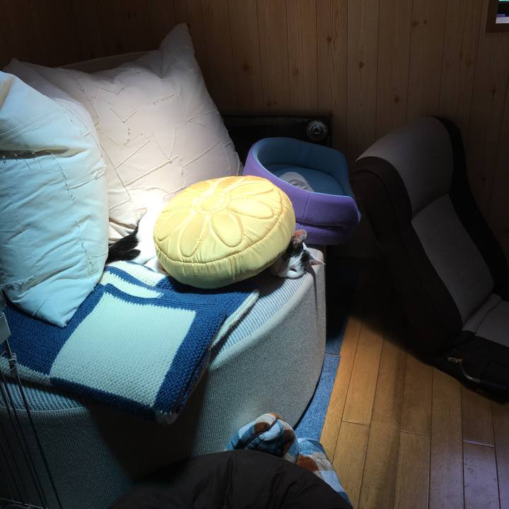 73589626 97af 40c2 b40c bfbd230f1d97