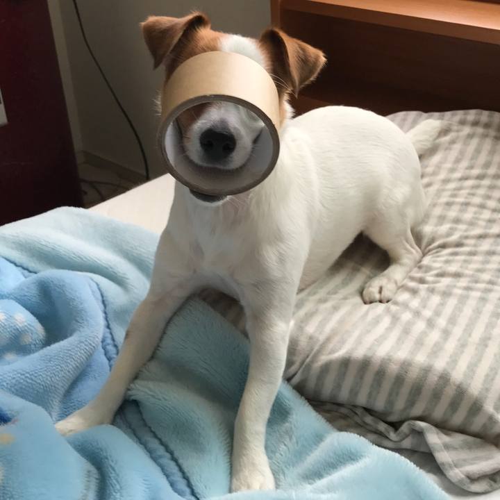 7358c1dd 9253 4c8a 98fb 56a1d4d248b7