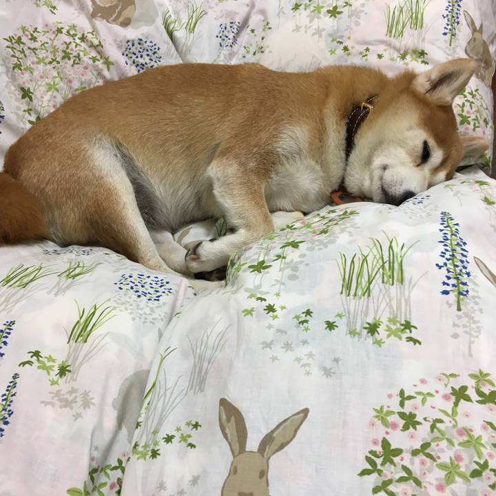 7359e0cd 6eb7 4b3d b1cf 87ade3c2ae00