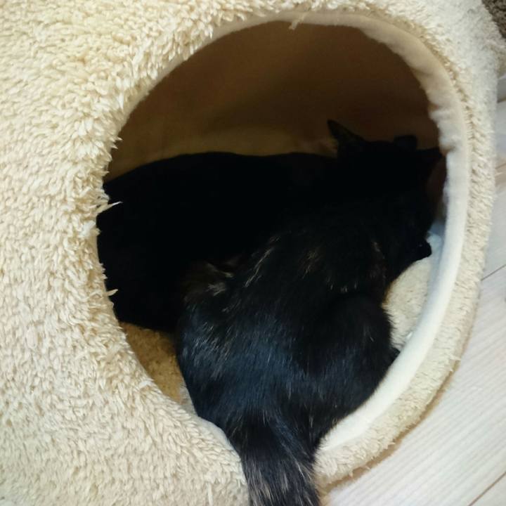 735b27fa 209a 451f b702 5e8b96d371cb