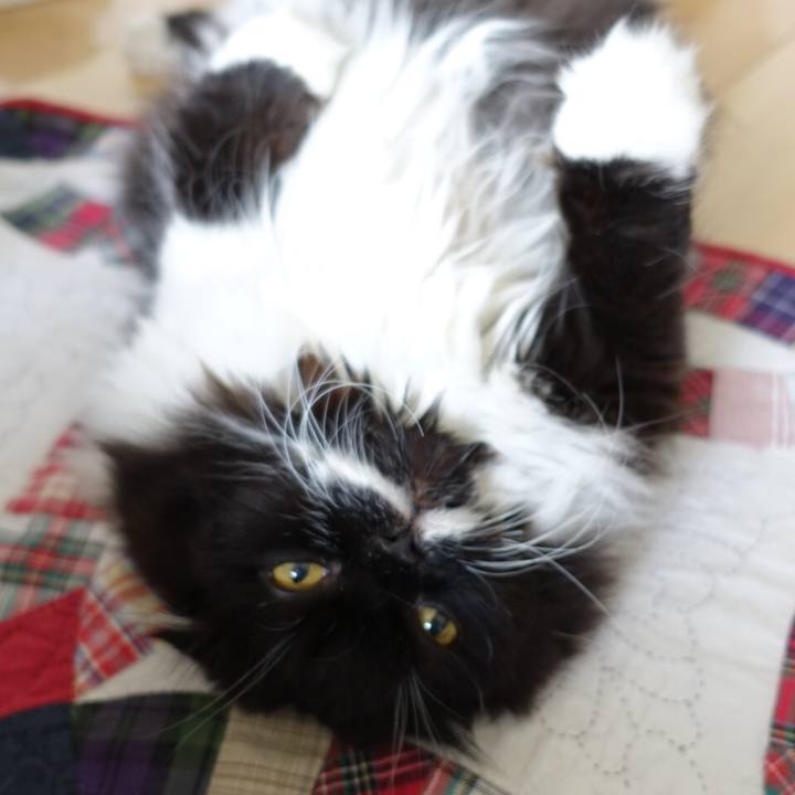 735bf970 16b6 48a3 977f f4ce78e84118