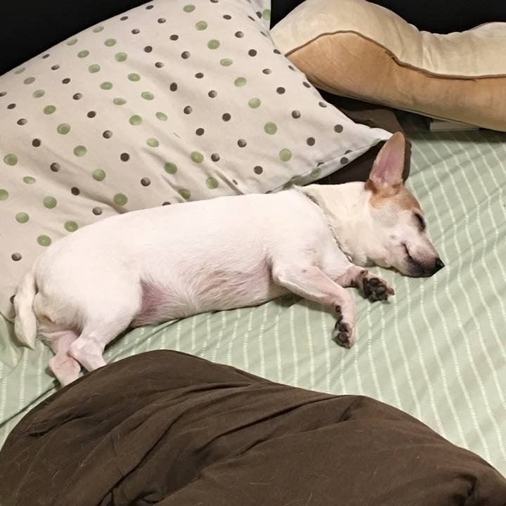 735cd506 eba4 492b 845c ebdd79bf8726