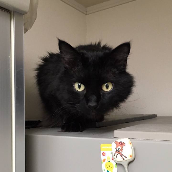 735d374e 317e 45b4 9934 801e2fab90e1