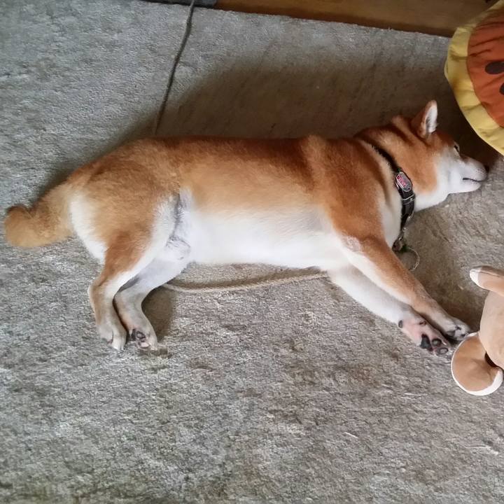 735dde2a c955 4501 9452 ed4534922336