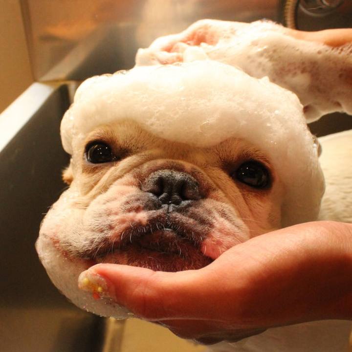 735e1fe8 dc31 401f a176 83d8445d4952