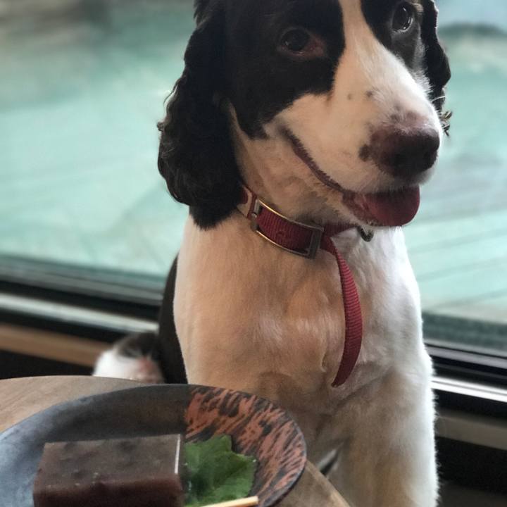 735e5fcb b82a 4577 9e0e 004059d50d5f